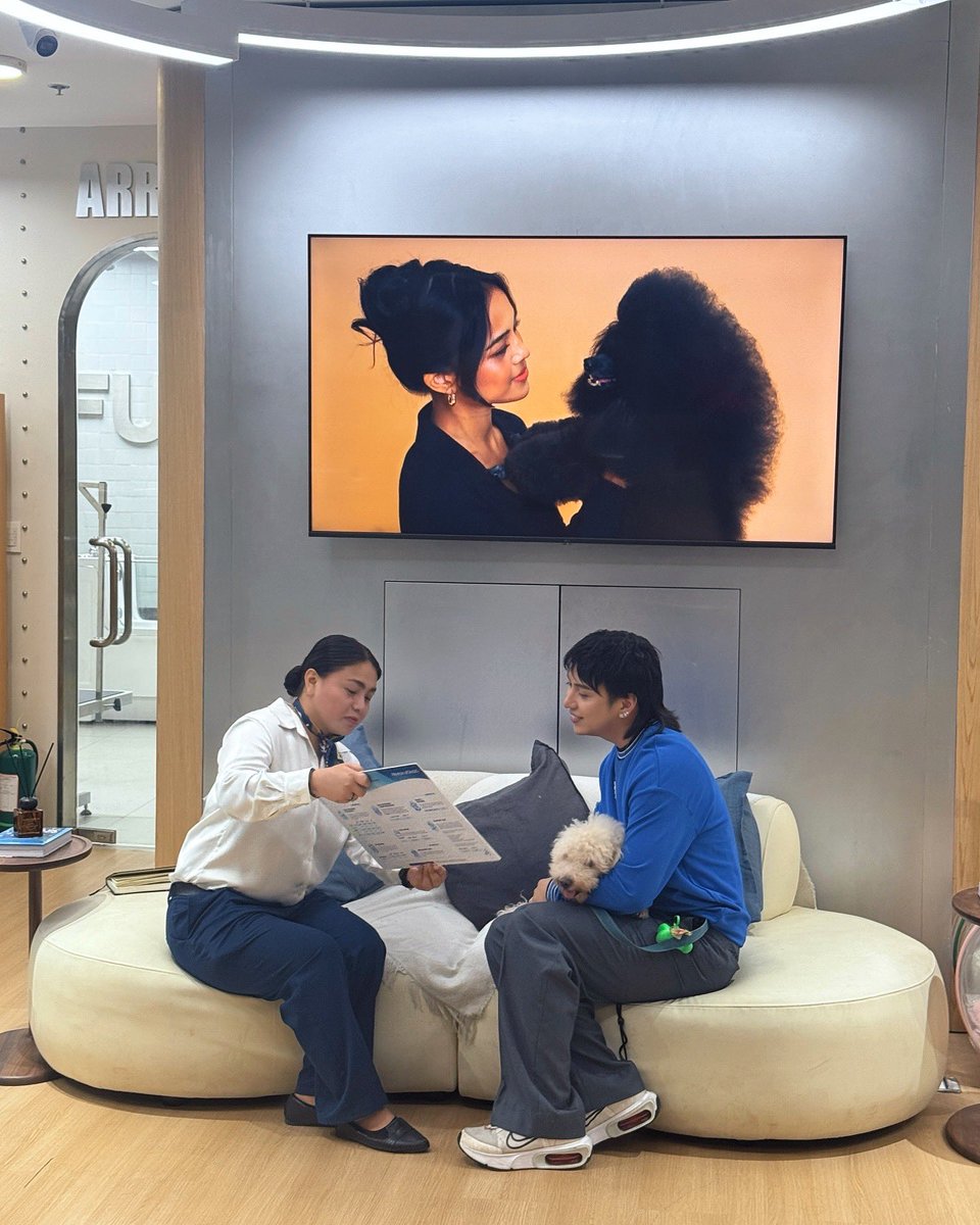 Dave’s Pamper Day! 🐶🐾 

#Bichon #bichonfrisé #dogsofinstagram #dogstagram #furbaby #doglover