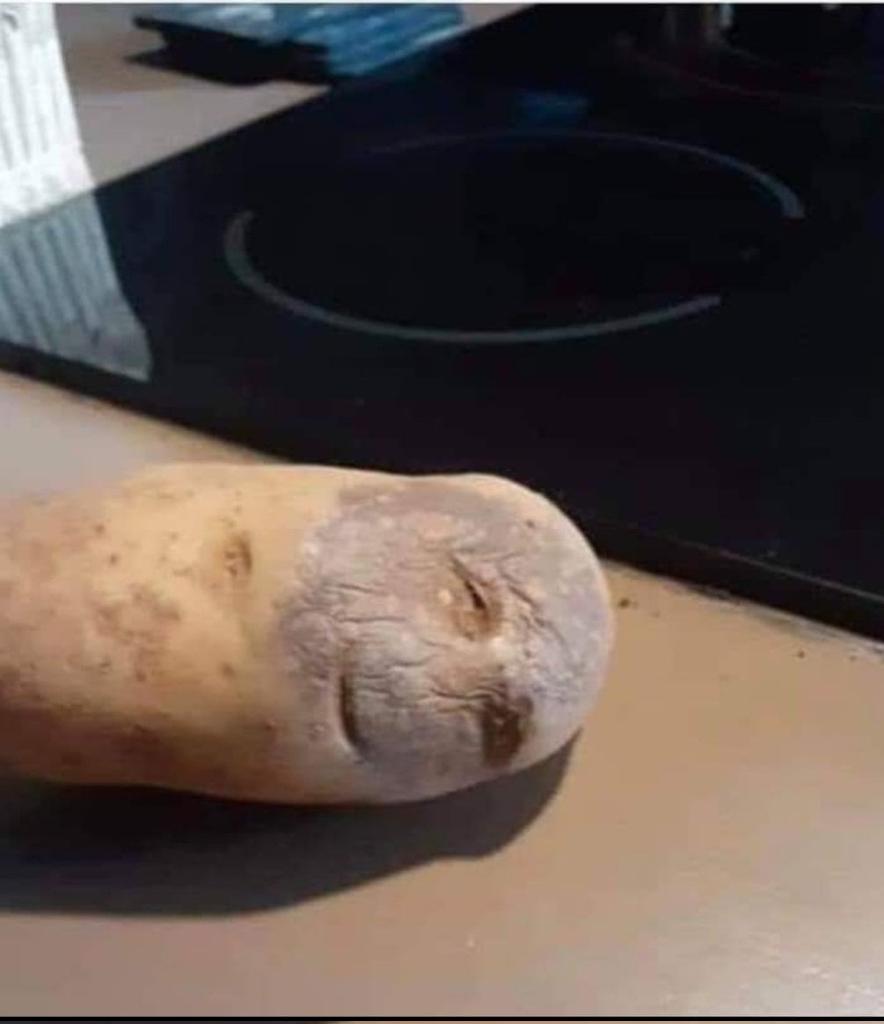 It's en....N tweet media