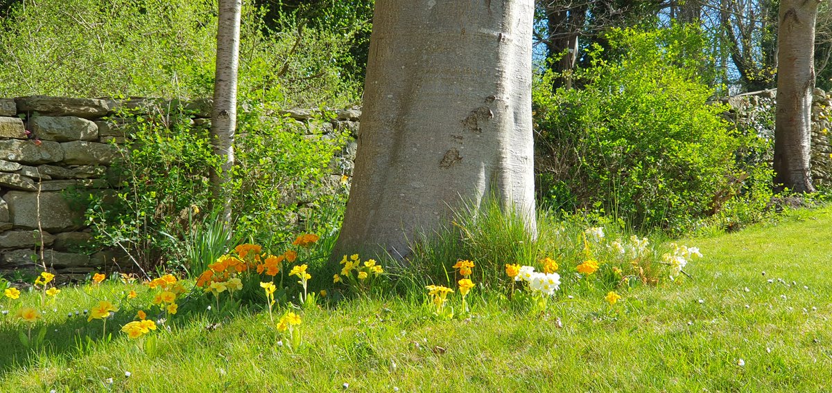 We are open this weekend for Easter, Saturday and Sunday from 10.30 to 3.30, with last food orders at the Mill Race Tea Room at 3pm. We have a raffle and Easter competition running, and the flowers are starting to come out so the site looks beautiful.