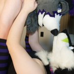 Photo by Kairo Fox~ x3 (@Kairo_FoxAD)