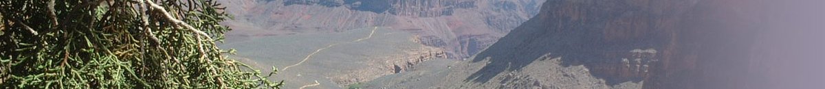 旧HPは長い海外生活を経て帰国し、北大テニュアトラック助教に着任した際につくったものでした。headerに使った写真は、アメリカでPDだったときグランドキャニオンで撮ったもの。遥かに続く道を目にし、自らが進む研究の道へと重ね合わせました。だいぶ遠くまで来ましたが、探求の道は今も続いてます。