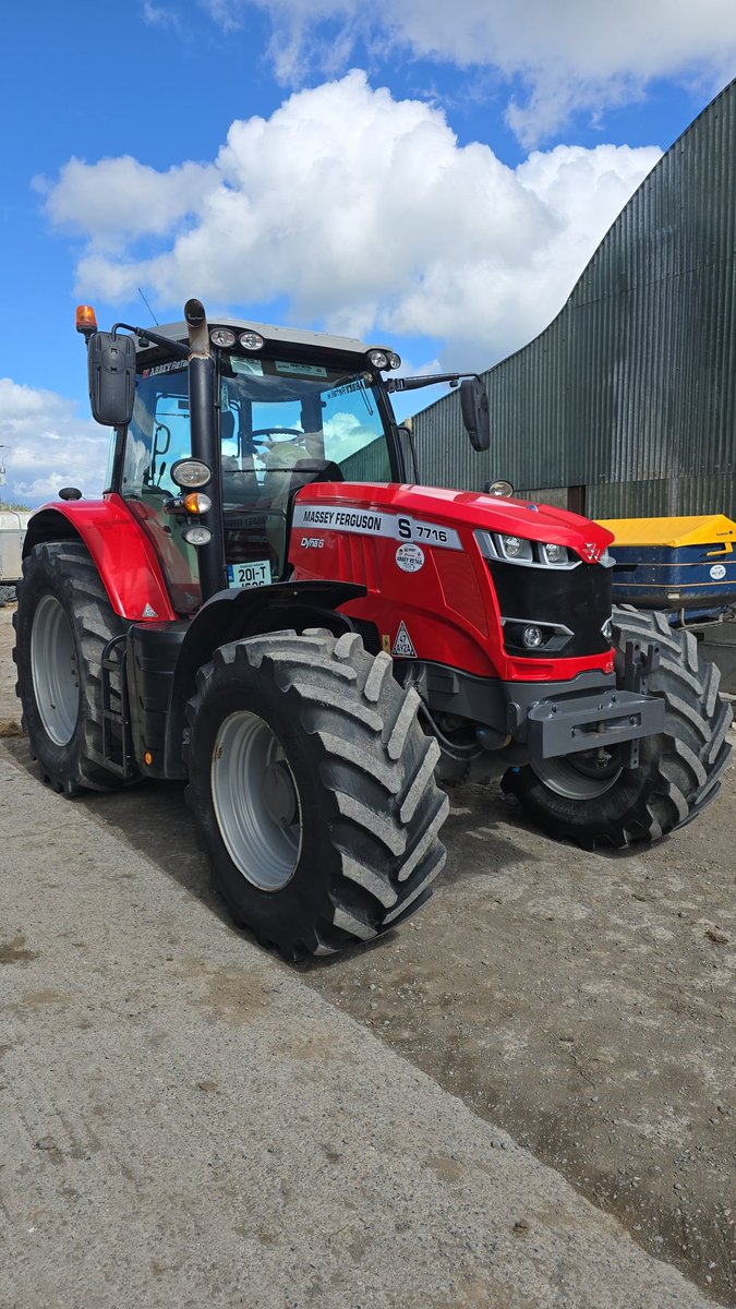 Tom Phelan tweet media