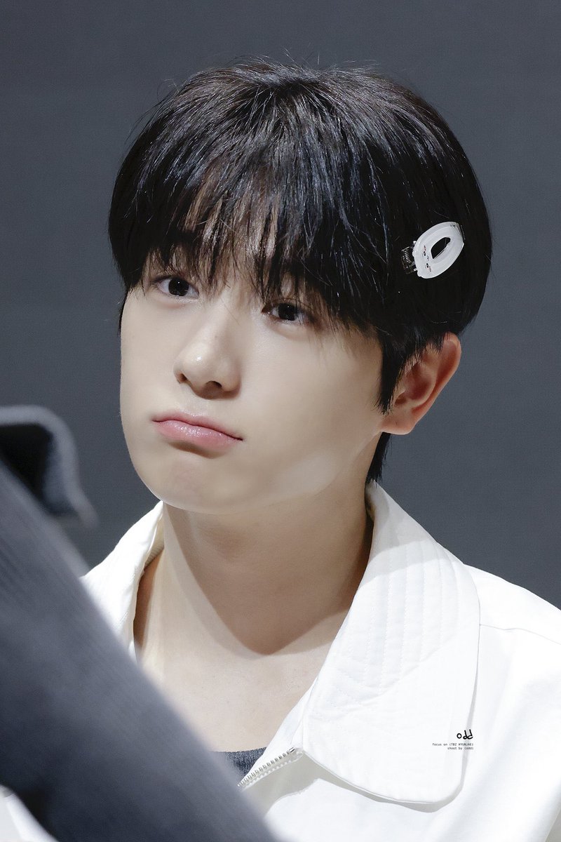 올해 최고의 사진