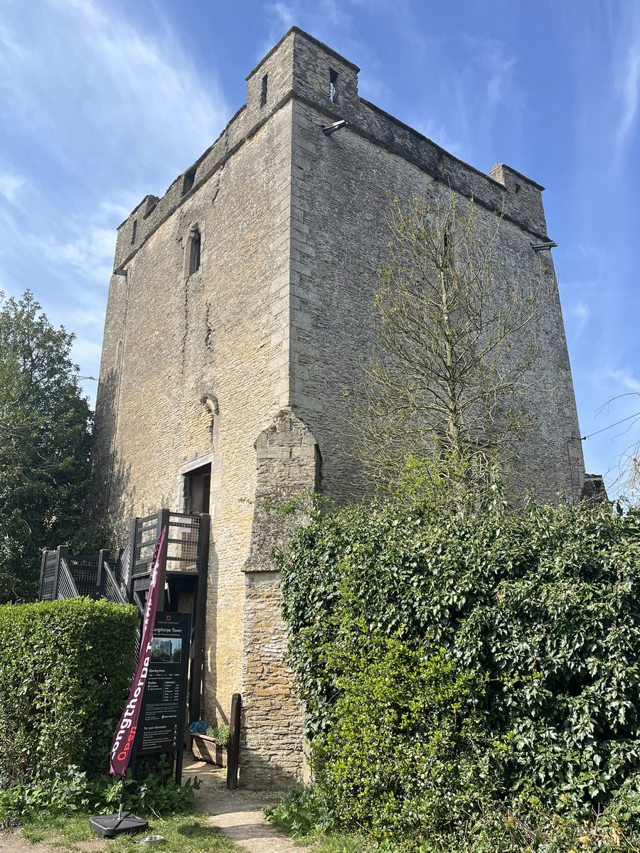 Dr Johanna Strong tweet media