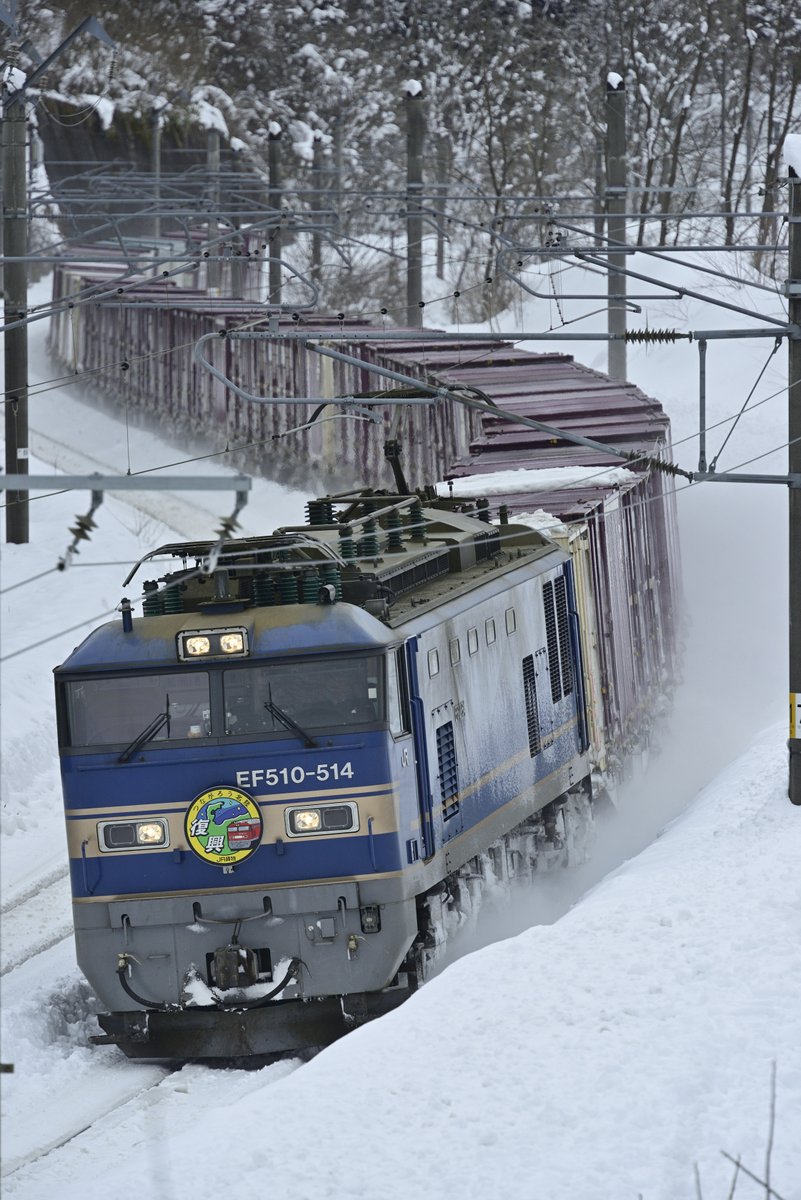 丸目 多聞 tweet media