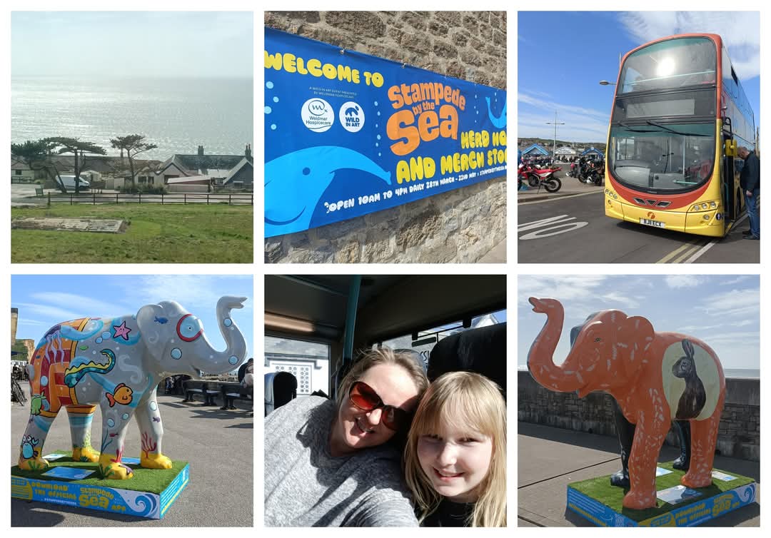 AD Did you know that First Bus are offering Group Saver Tickets on their Jurassic Coast buses for the duration of the 'Stampede by the Sea' art trail? To read about our day out, visit the Dorsetmums Blog here: dorsetmums.co.uk/blog/read_2073… #StampedebytheSea #WildinArt #FirstBus