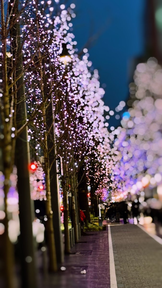 桜の夜🌸