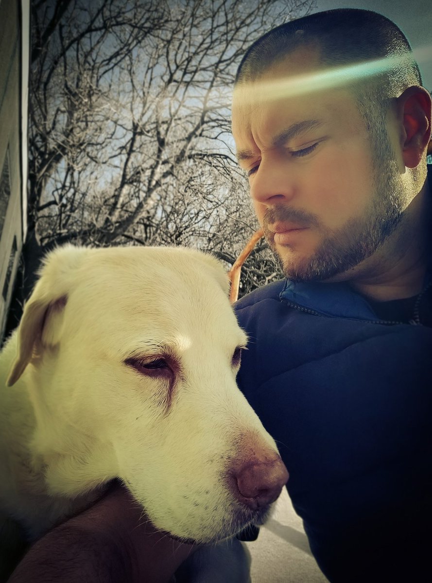 Let's see your doggos!
#picoftheday #doggo #onemanandhisdog #labrador #Pets #dogs