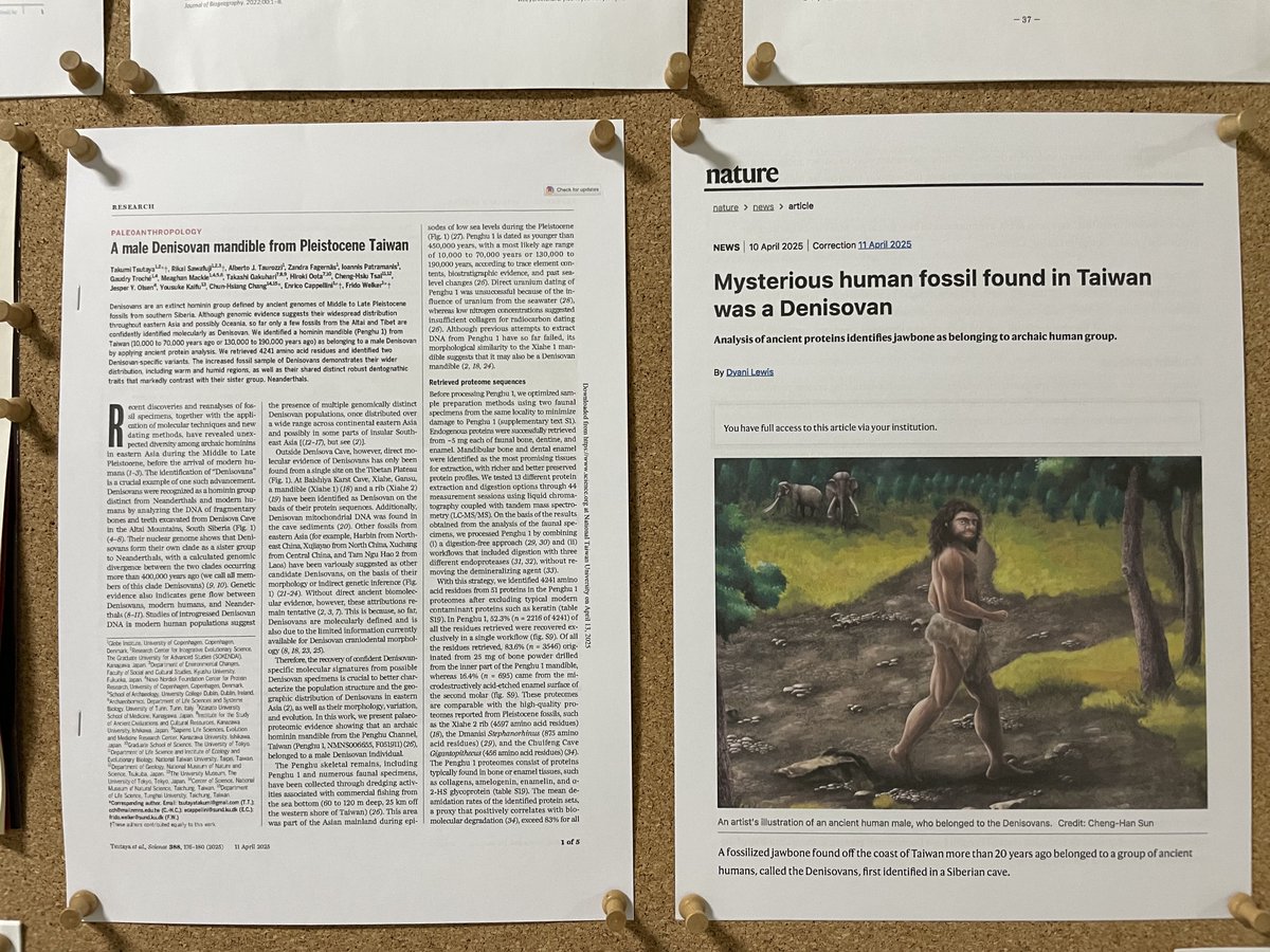 Happy #MaleMonday! Very pleased to coauthor this Science paper - we confirmed the occurrence of a male Denisovan from Taiwan. So proud to put the original publication in Science and a short piece by Nature on the outside wall of my lab.
