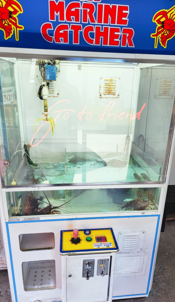 FG_FRIEND_HRT's tweet photo. こんにちは🌞
フレンド21広田店です😊
魚魚市場行ってきました〜✨
名物?伊勢海老キャッチャーまだありました😆
行かれた際はチャレンジしてみては?🤣
☆本日10時よりOPEN☆
ご来店お待ちしております‼️
#Gotofriend #魚魚市場 #fyp https://t.co/8zjrxZiCFS