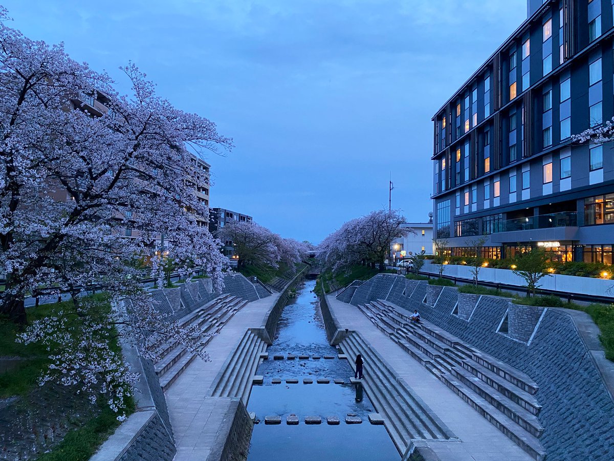 iSiddharthRaman's tweet image. Novotel Nara is situated in an outstanding location, surrounded by cherry blossoms.
A good executive lounge with an open terrace adds to the experience.
And on top of that, it’s available for Stay Plus redemption as well.
This is one of the very few Accor properties I’ve…