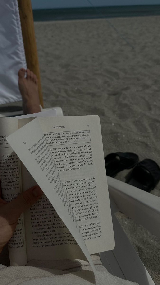 NoelGorrin's tweet photo. La combinación perfecta 🌊 https://t.co/vpQahs8Mkx