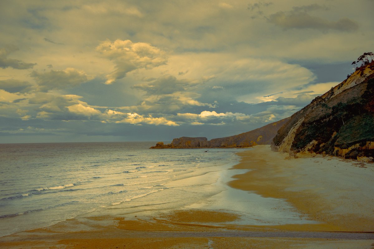 Samantha Cavet tweet media