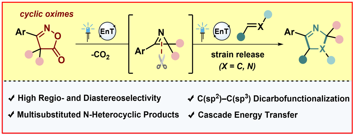 Glorius Group (@gloriusgroup) on Twitter photo Bifunctional reagents and strain-release cycloaddition – one reagent for the best of both worlds! 🫱🏼🫲🏽
Check out our latest publication on cyclic bifunctional reagents and in situ generated 2H-azirines in <a href="/J_A_C_S/">J. Am. Chem. Soc.</a> :
pubs.acs.org/doi/10.1021/ja…
#OrganicChemistry #ChemTwitter Bifunctional reagents and strain-release cycloaddition – one reagent for the best of both worlds! 🫱🏼🫲🏽
Check out our latest publication on cyclic bifunctional reagents and in situ generated 2H-azirines in <a href="/J_A_C_S/">J. Am. Chem. Soc.</a> :
pubs.acs.org/doi/10.1021/ja…
#OrganicChemistry #ChemTwitter