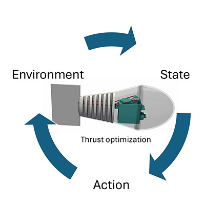 📢 PRFluids Editors' suggestion: Inspired by swimming animals that undulate to propel themselves in water, Fu et al. use a biomimetic robotic swimmer to find optimal control strategies for maximizing underwater thrust via reinforcement learning
Read more @ go.aps.org/42Hk9kS