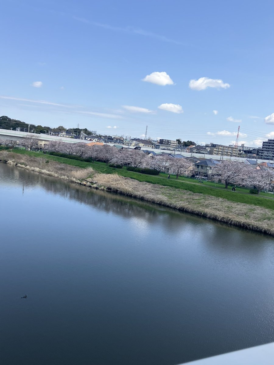 は〜るの〜うら〜らの〜♪
ぴーなつけんのかわ〜♪