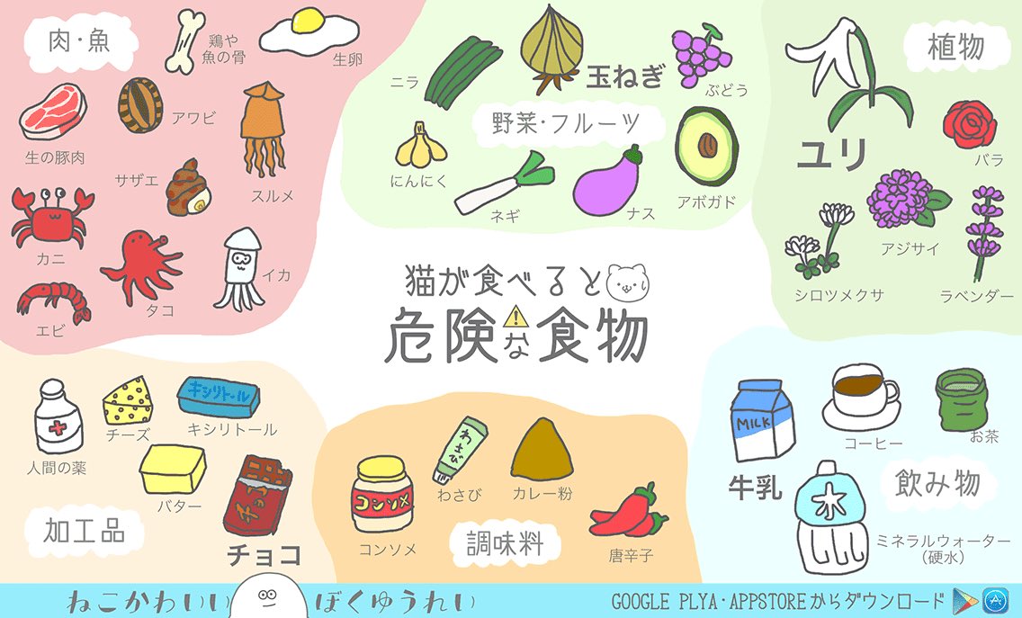 猫が食べると危険な食べ物
猫とゆうれいのほのぼのゲーム。無料漫画付き︎
#ねこかわいいぼくゆうれい #猫
neko.harapeco.okinawa/da/