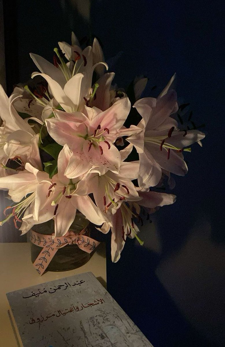 eilo (@noplacebuthere) on Twitter photo 