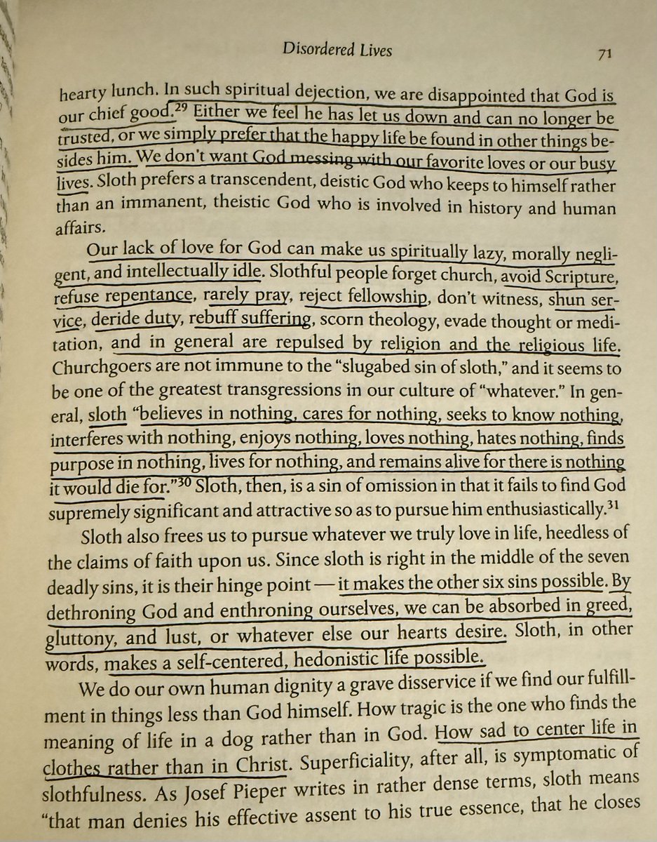 An incredible excerpt on the vice of sloth from a phenomenal book called Reordered Love, Reordered Lives. 

Completely changed how I viewed it, including a hard look in the mirror.
