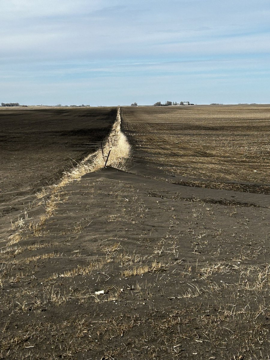 hilbert_br72's tweet photo. @Cropwise1 I just spent the better chunk of the wknd cleaning deposited dirt from my fence line.  I estimate they lost in excess of 50tons per acres https://t.co/ZpZVhVgjUn