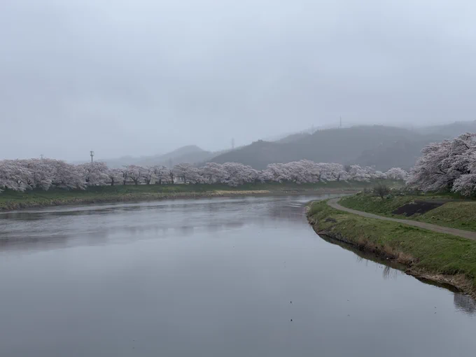 ハイライトです 
