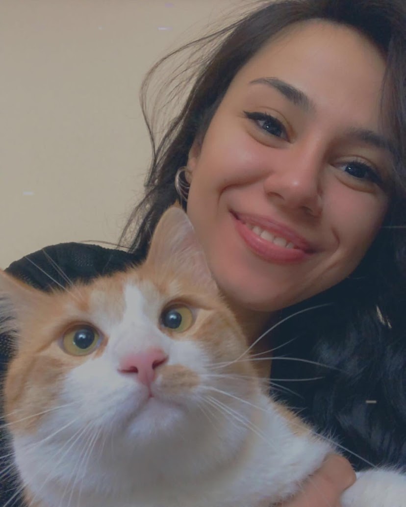 Yilmaz Heusinger - Search  X