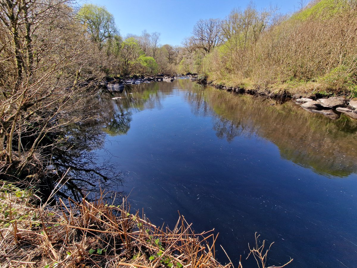NativeWoodTrust's tweet photo. 🎉Big News coming soon - stay tuned!🎉 https://t.co/H1VFIGVFn7