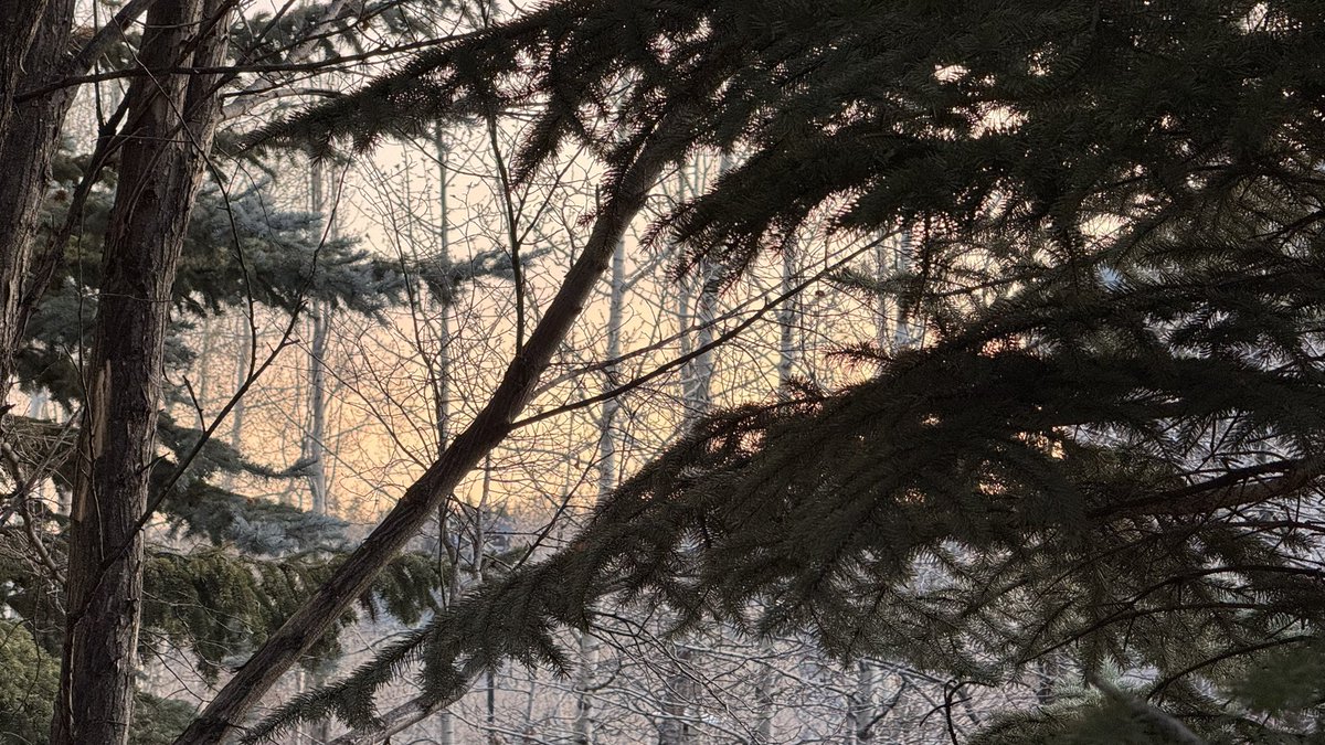April 14, 2025 sunrise. ☀️ #Calgary