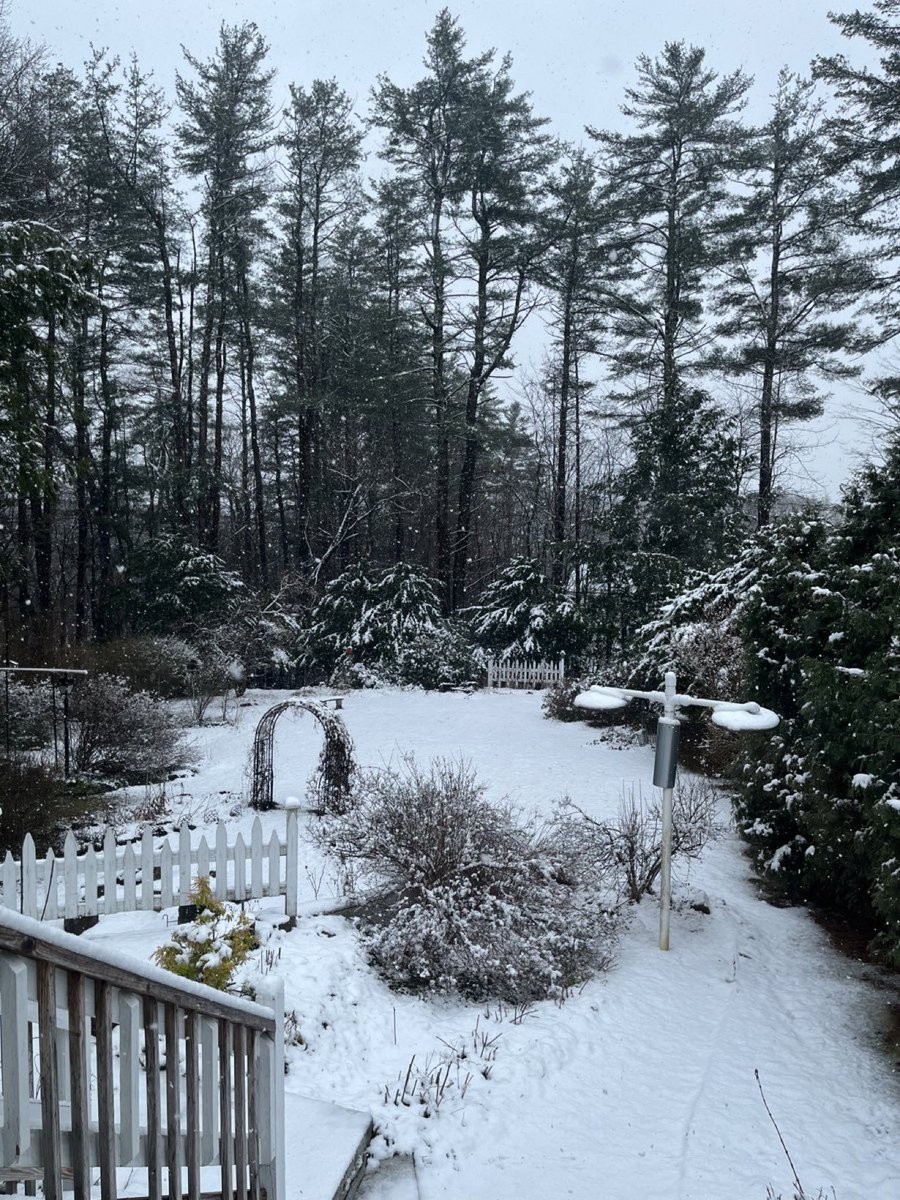 I object protest and denounce and don’t give me that it’ll be sixty on Monday nonsense