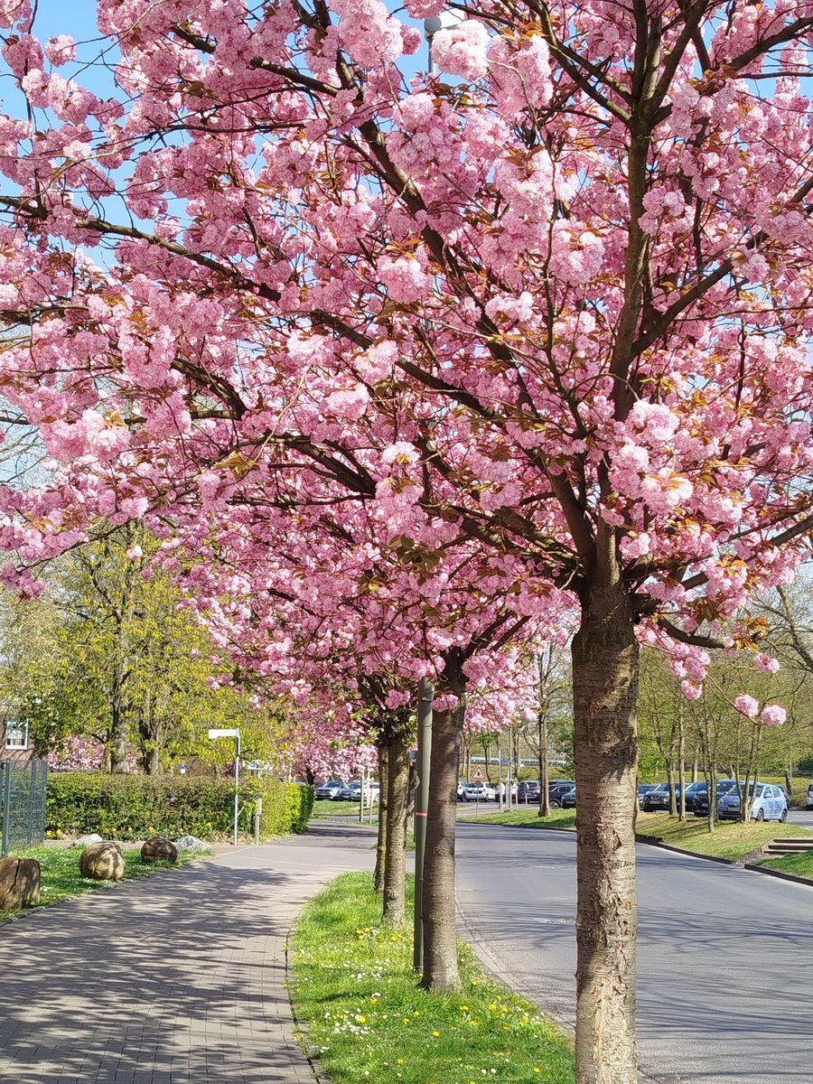 FaMe1985's tweet image. muazzam muazzam 🤌🌱🌸