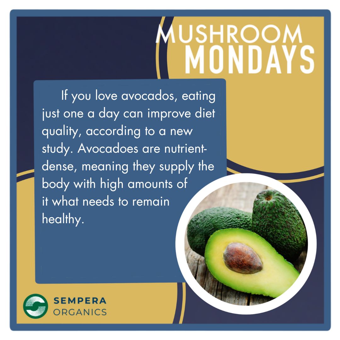 Sempera Organics tweet media