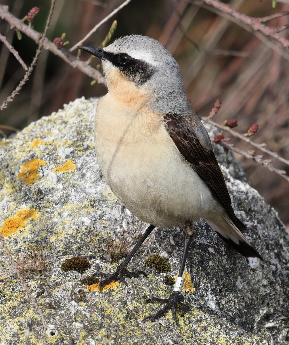 Graham Jaggard tweet media