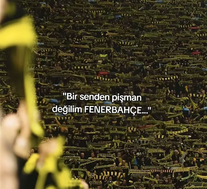 johan (@pivotdokuz) on Twitter photo 