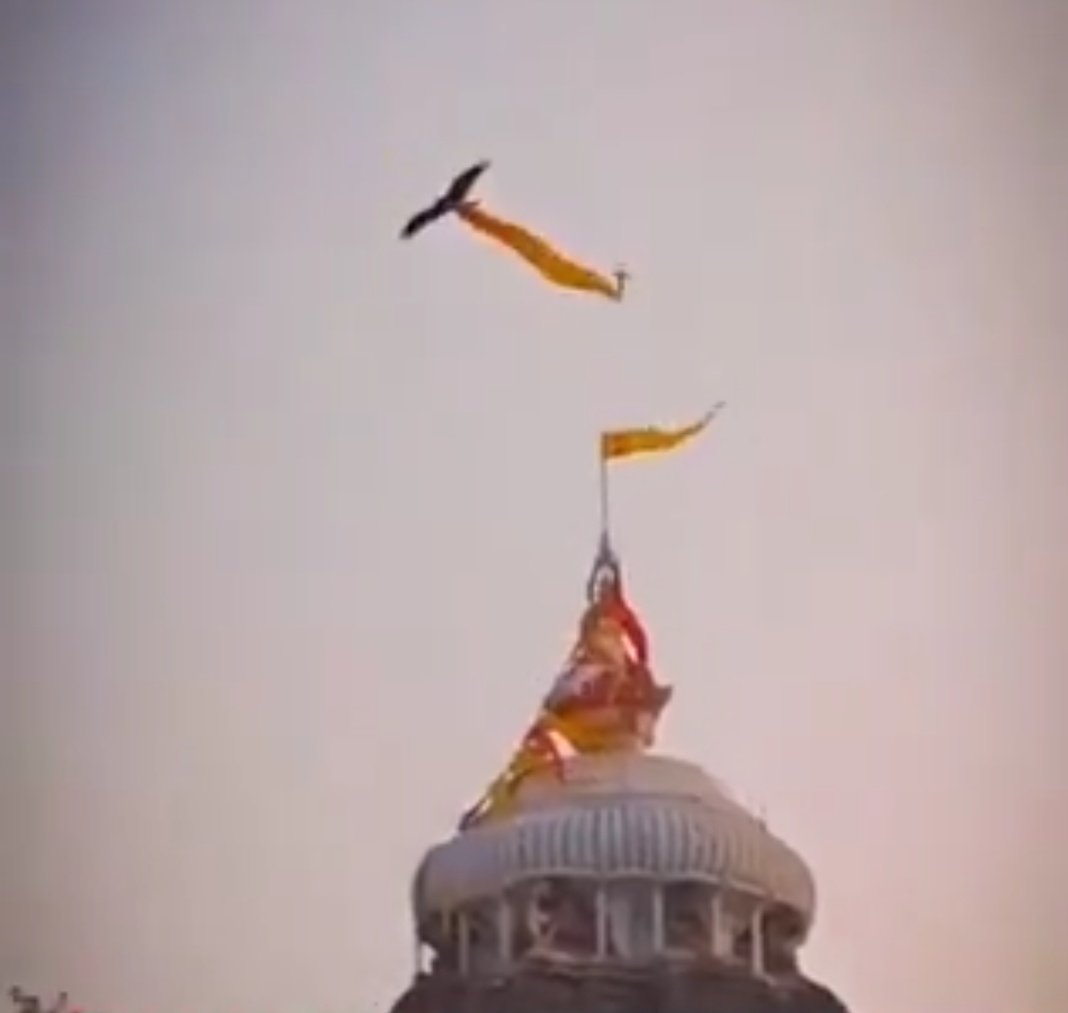 BIG NEWS 🚨 A 'Garuda' bird mysteriously took away Jagannath Temple’s sacred flag &amp; soared into the sky in Puri.

Devotees believe this could be a divine sign which will have an impact on all sectors of society.

What will happen next?

The flag of the Jagannath temple is changed