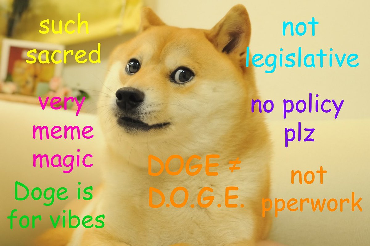 GaryLachance's tweet image. In order to maintain the neutrality, wholesomeness and sanctity of the meme, I propose that Kabosu's image and the Department of Government Efficiency (D.O.G.E) exist in separate worlds.

Kabosu's image is optimized to inspire joy, unity, and spontaneous goodwill—not…