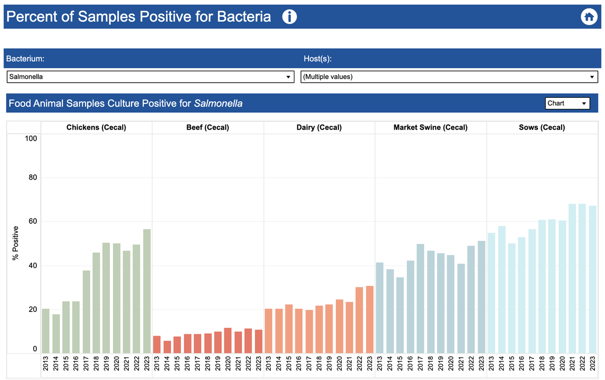 Lewis_Bollard's tweet photo. America's chickens and pigs are sicker than ever.

In 2023, >50% of both tested positive for Salmonella, most with antibiotic-resistant strains.

Maybe crowding millions of chickens and pigs together on top of their manure wasn't a great idea? https://t.co/QLQtAtTNsX