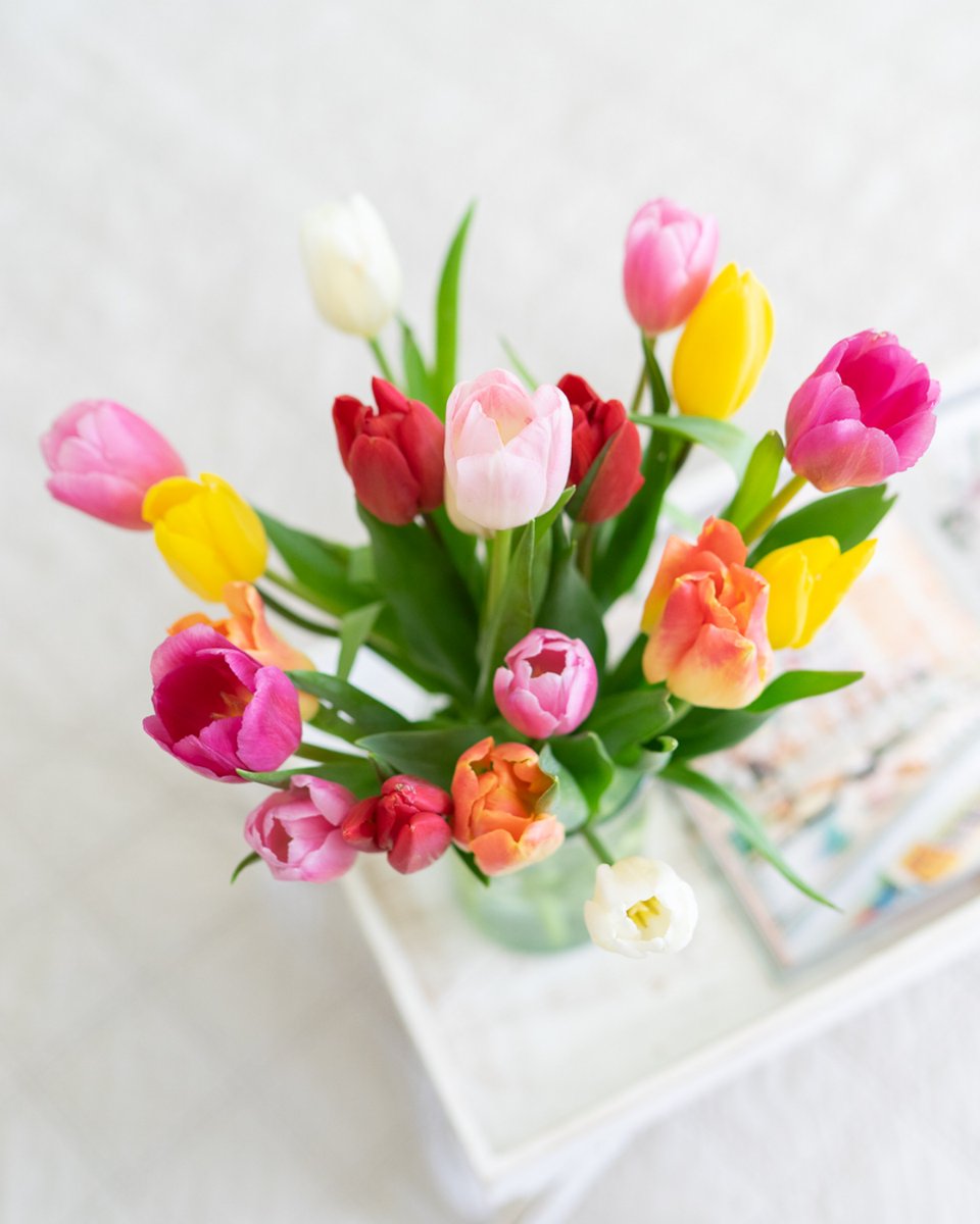 FlowersSend's tweet image. The best kind of love? The kind that keeps showing up—even when it’s not expected. 

Surprise someone with a bouquet and remind them how much they mean to you 💐💖

#UnexpectedLove #EverydayRomance #LoveInBloom #SendFlowers