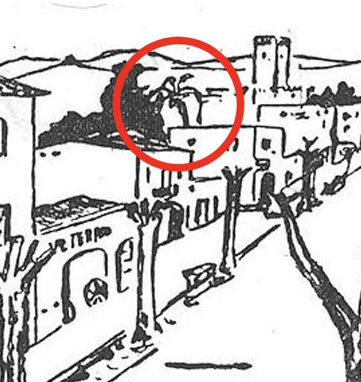 rpinolb's tweet photo. La palmera del Passatge Rius de Collblanc tallada!!. Centenària, pertanyia a la masia dels Cabaní. En un dibuix de l'ebenista Lluch de l'any 20 ja sortia. Era una de les moltes palmeres que dibuixaven el nostre paisatge. Ens voleu esborrar, oi @LHAjuntament ? https://t.co/xHYtlu3uip