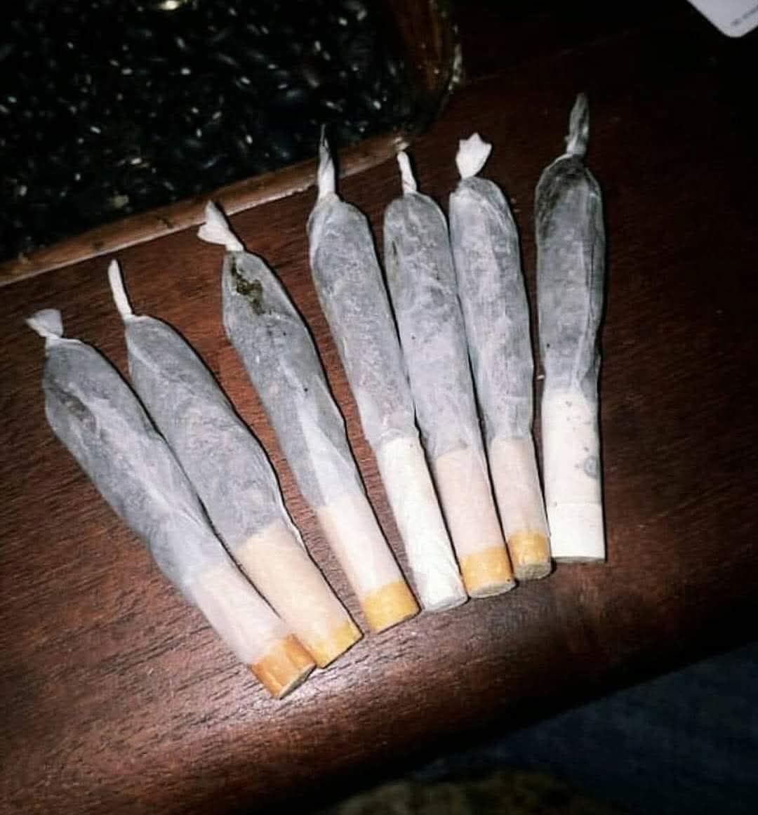 _1903Schmidt's tweet photo. @caiocezar420 Após 10 anos de uso cheguei nesse nível de exêlencia. 👍💪 https://t.co/GVpbh2tFho