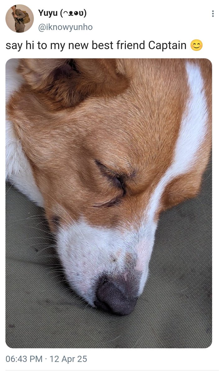 pet shop worker mng x new dog owner ynh socmed au 🧵