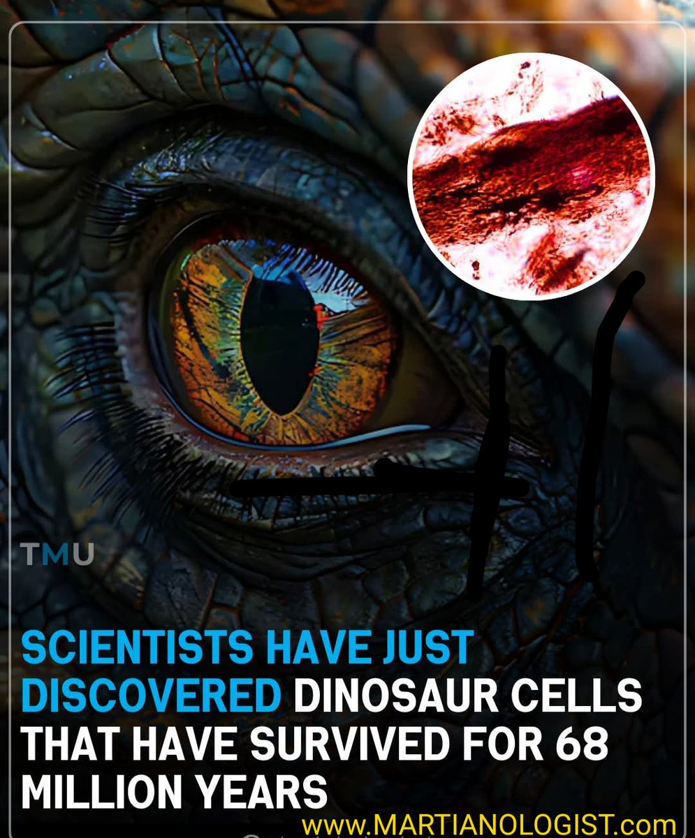 MarsLifeForms's tweet image. There are HUGE Living Dinosaurs All over MARS, so we dont need the Preserved Cells as we can get the Cells from the LIVE DINOSAURS ON MARS!
MARTIANOLOGIST.com