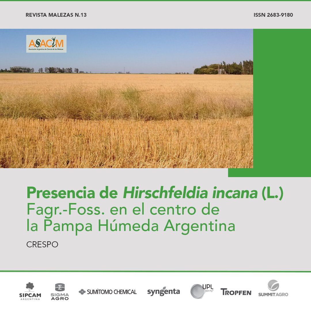Articulo en #RevistaMalezas "Presencia de Hirschfeldia incana en el centro de la Pampa Húmeda Argentina."
En el sur de Santa Fe, se menciona su dificultad de control, pero no están documentadas. Esto motivó el presente estudio de recopilación de información mediante encuestas.