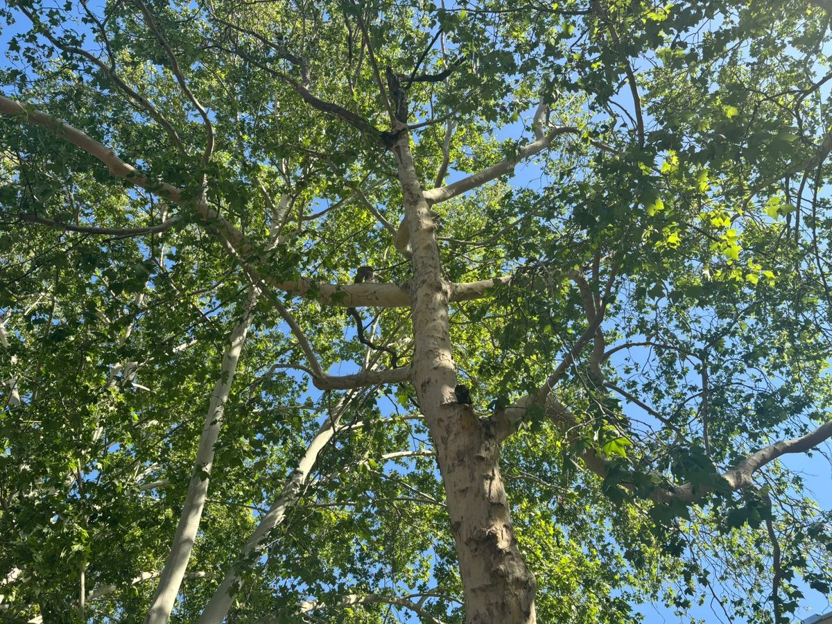 Ordinary scenery discovered on ordinary days