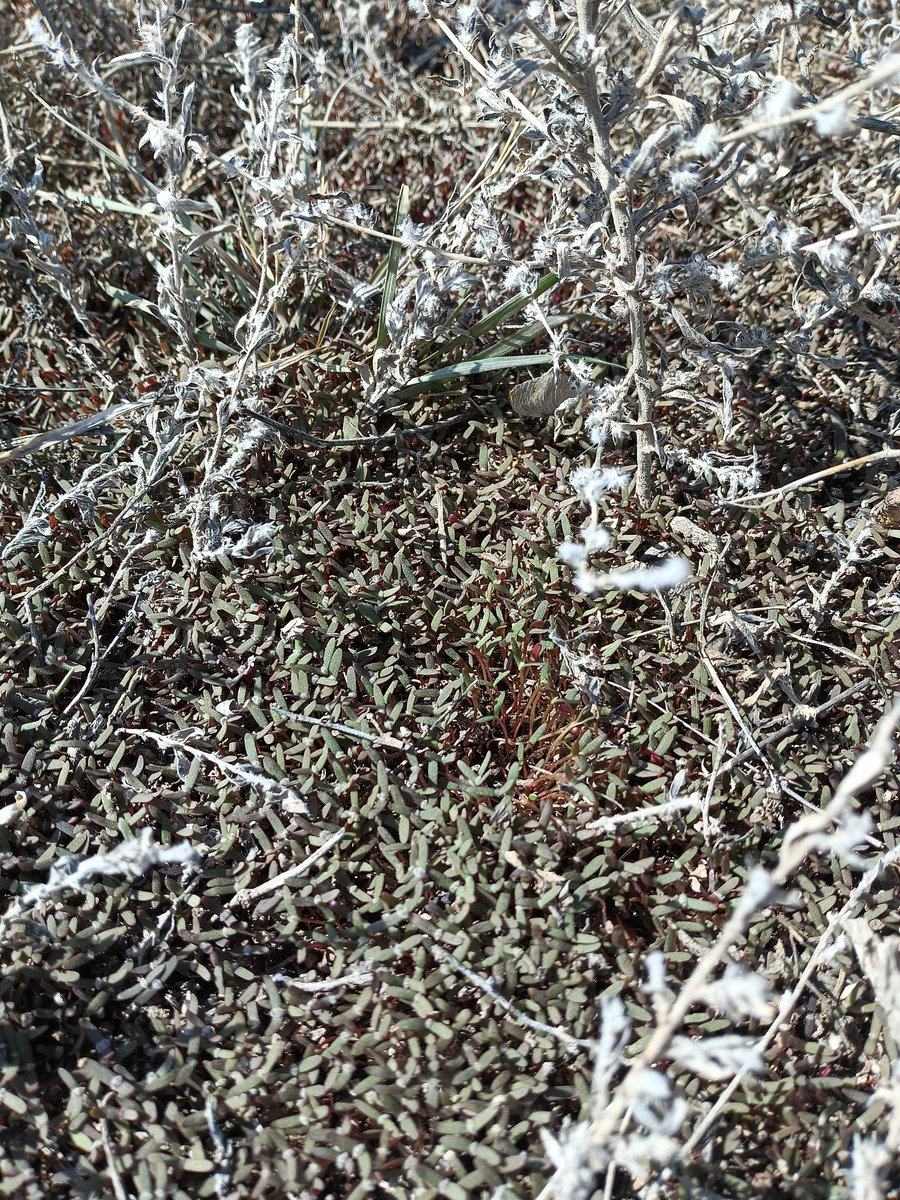 Shaun M. Sharpe tweet media