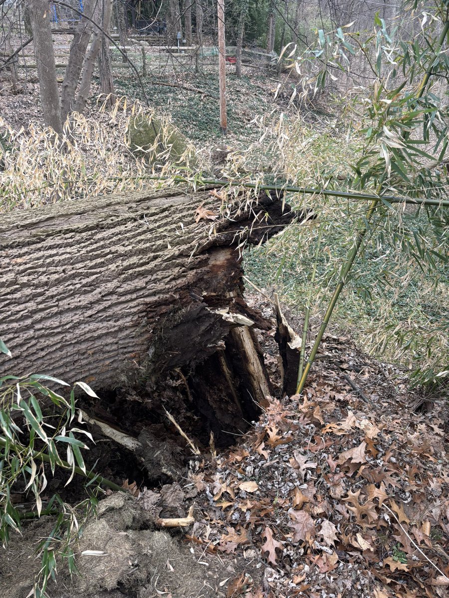 News 8 WROC tweet media