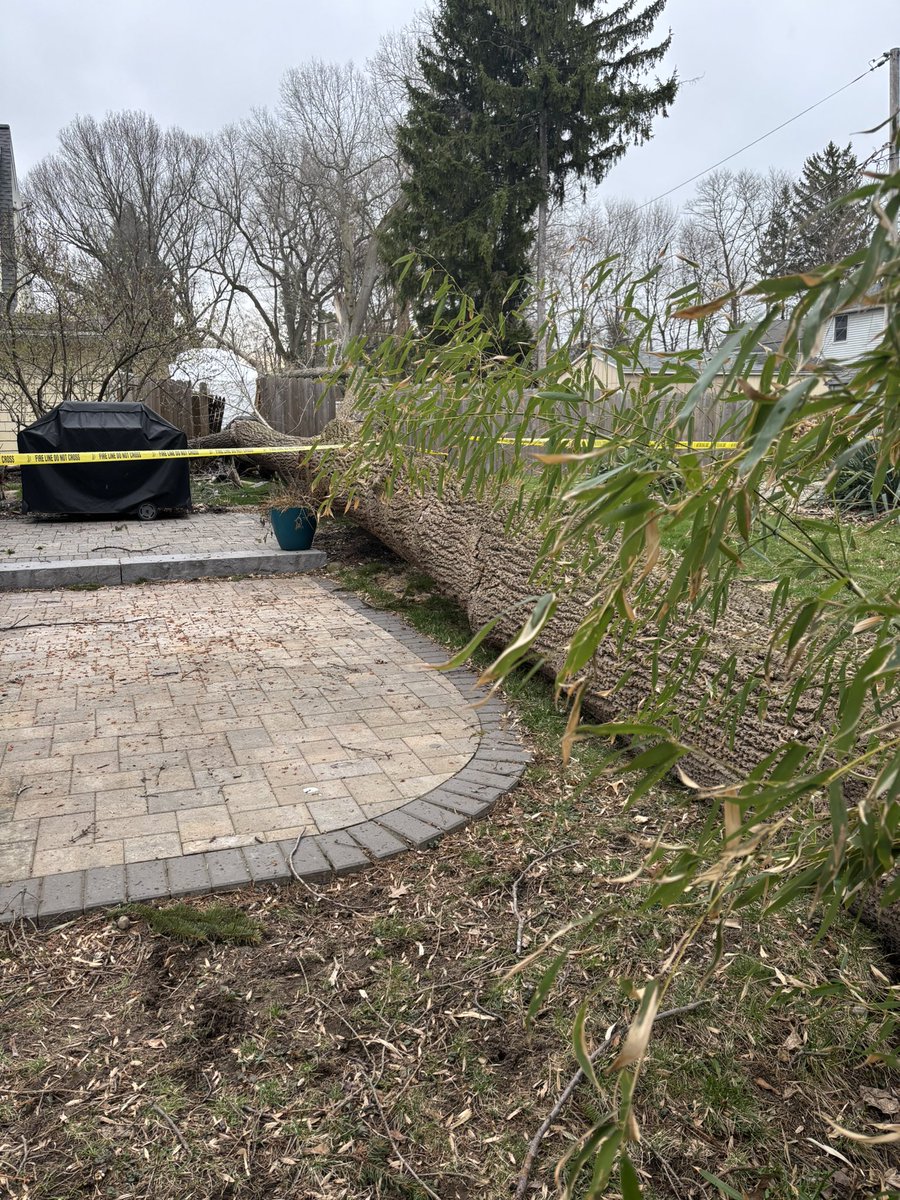 News 8 WROC tweet media