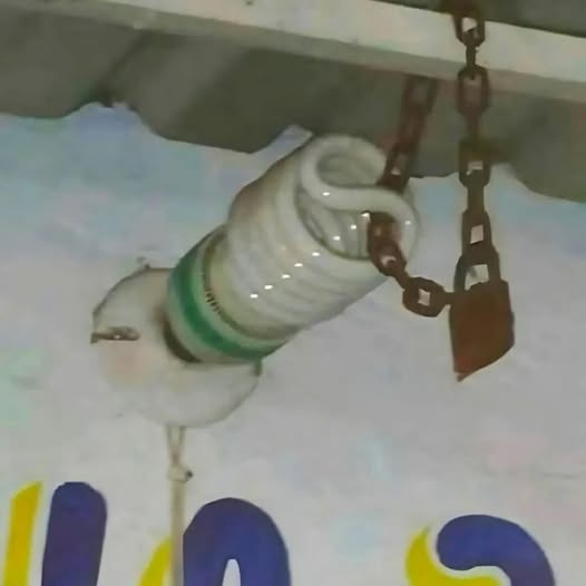 chiquimafia__'s tweet photo. cuando invito a los pibes https://t.co/sjwBjaK4T8