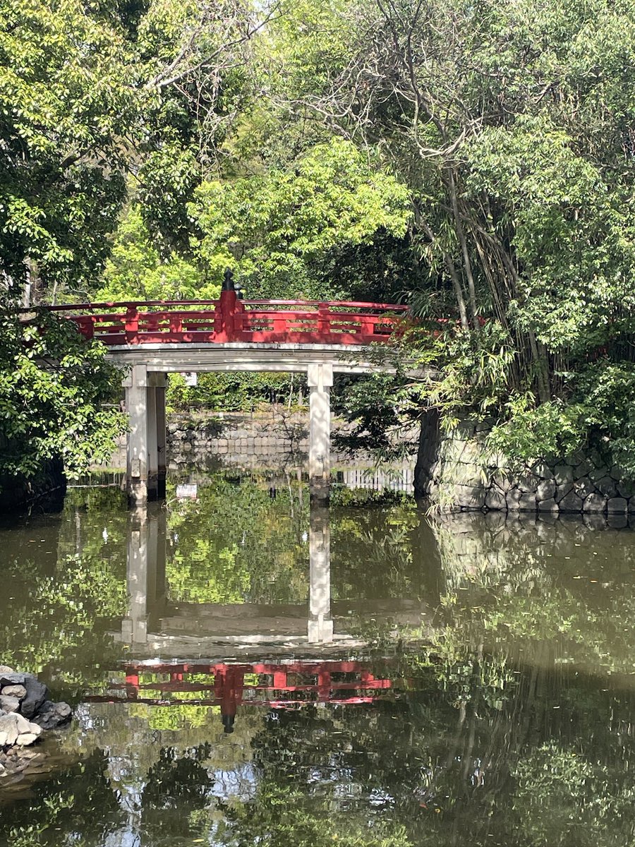 trys0824's tweet photo. 埼玉大宮の氷川神社へ参拝
全国の氷川神社の総本山とのこと
神社には無料駐車場もありました。
#御朱印
#ツーリング https://t.co/IOstDTZi2G
