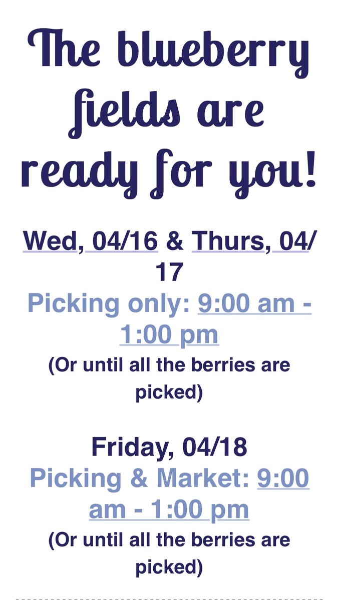 Meadows Blueberry Farm (@meadowsbbfarm) on Twitter photo 
