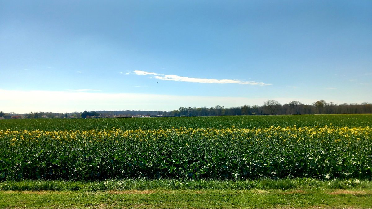 Image de Préfet de Seine-et-Marne